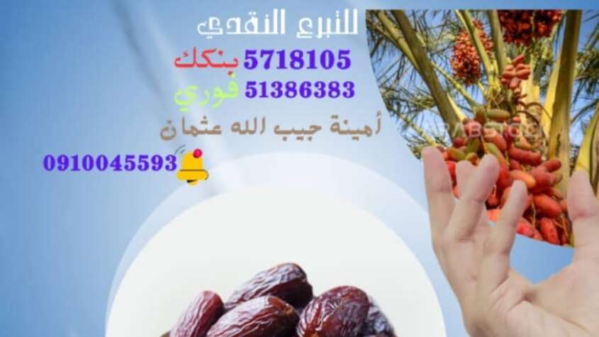 متوكل طه محمد احمد يكتب  كيلة الفاشر اتقوا النار ولو بشق تمرة