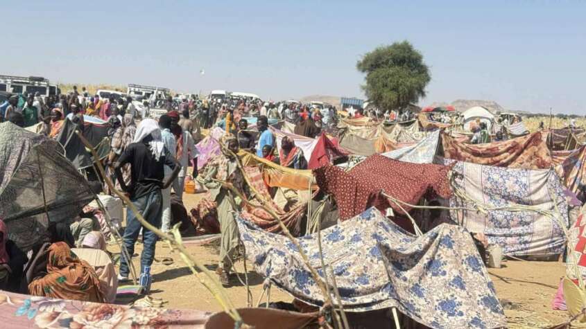 مليشيا دقلو.. سجل القتل تجاوز الدرك الأسفل بقلم : علي يوسف تبيدي مليشيا دقلو.. سجل القتل تجاوز الدرك الأسفل بقلم : علي يوسف تبيدي