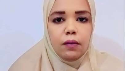 الاستراتيجيات والفساد!  د. لبابة عبد الرحيم منير علي