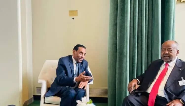 الرئيس الجيبوتي يؤكد استعداد بلاده لدعم السودان في كافة المناحي