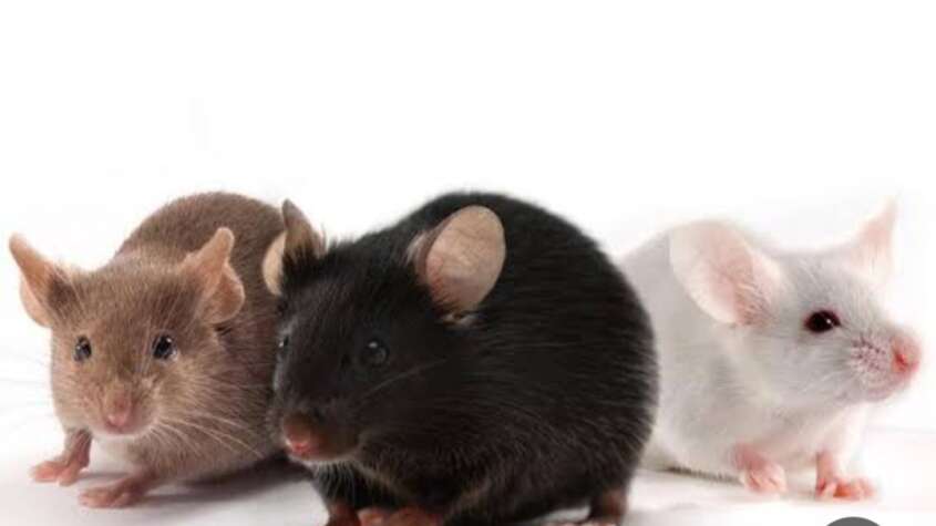 قلق في تمبول لهذا السبب 